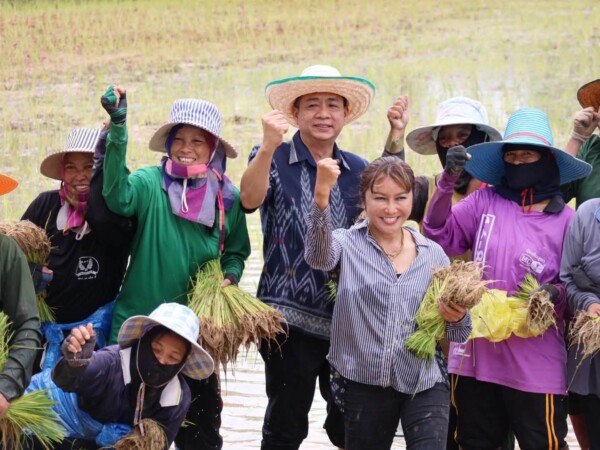 สส.สุทธิชัย จรูญเนตร ลงพื้นที่ เยี่ยมชาวบ้าน พร้อมลุยน้ำลุยโคลนร่วมลงแขกดำนา