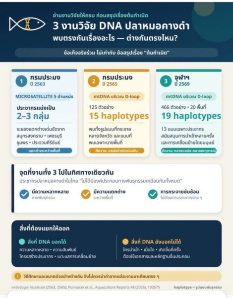 ถอดรหัสDNAปลาหมอคางดำ “ต้นตอไม่ได้มีแค่คำตอบเดียว”