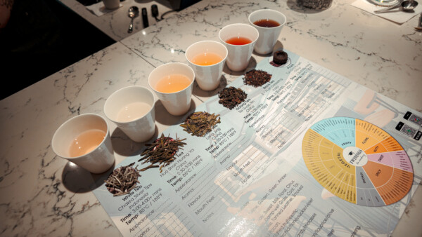 จิบชาสุดฟิน บินลัดฟ้าสู่ลอนดอน “Twinings Sip with Luxury” พาผู้โชคดีสัมผัสประสบการณ์เหนือระดับ ณ ต้นกำเนิดทไวนิงส์