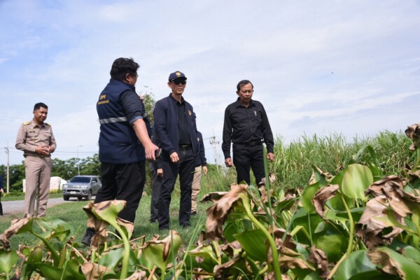 รองผู้ว่าฯ ฉะเชิงเทรา ประธานประชุมเตรียมความพร้อมโครงการ “กิจกรรมบูรณาการความร่วมมือ 3 จังหวัด แก้ไขปัญหาผักตบชวา วัชพืชกีดขวาง้ำในแม่น้ำบางปะกง (Kick off) ปี 2569”