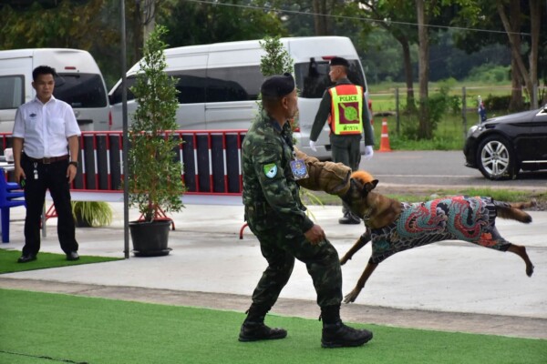 ศูนย์ฝึกสุนัขตำรวจ เปิดการแข่งขันขีดความสามารถสุนัขตำรวจ BPP K-9 2026 ณ ค่ายพระรามหก